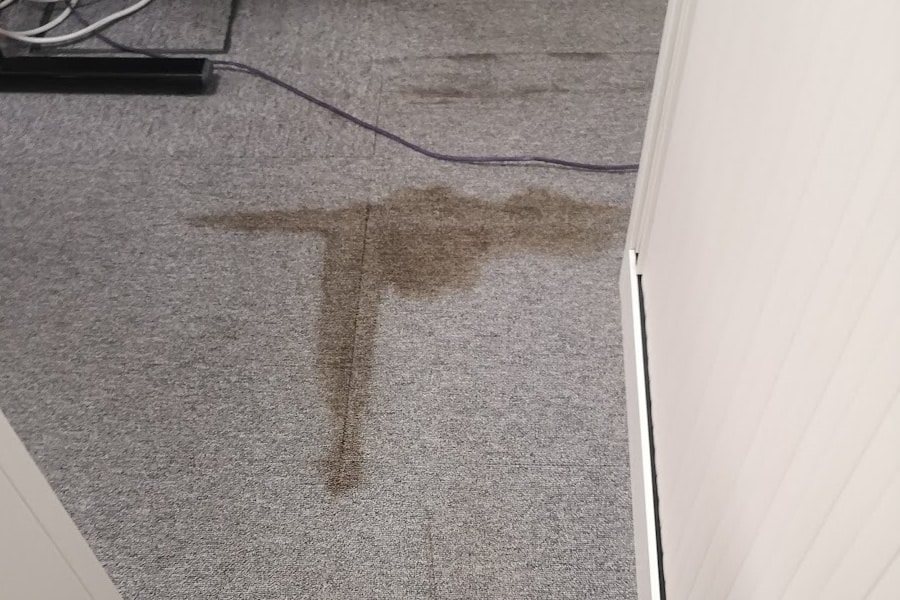 commercial carpet cleaning before