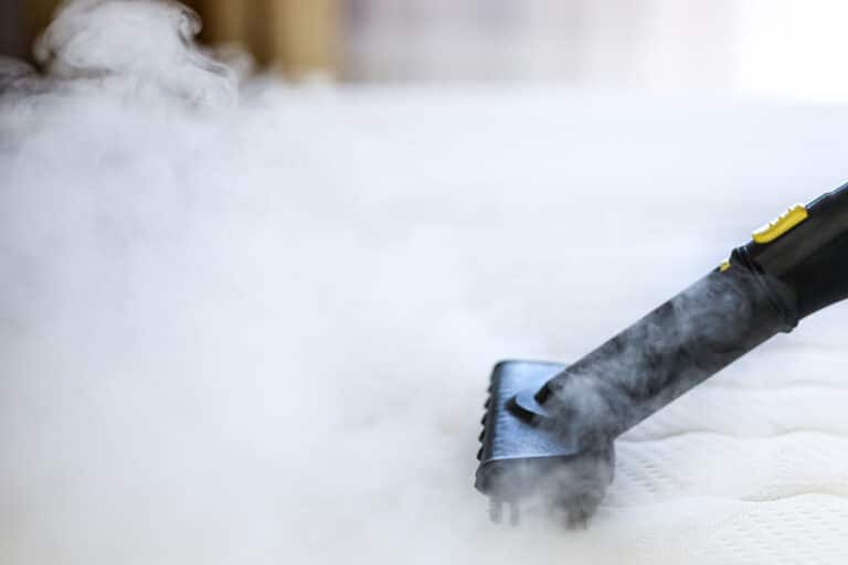 rug steam cleaning