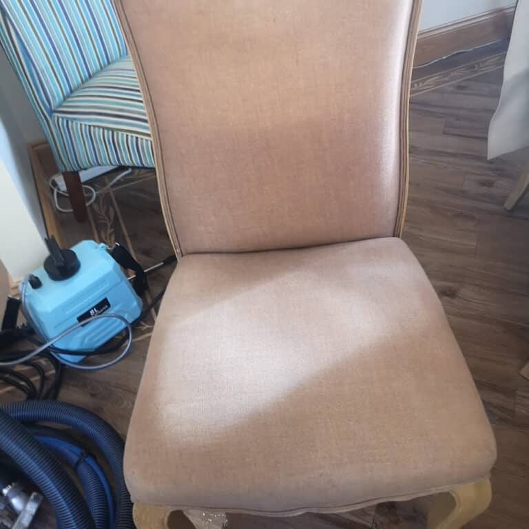 upholstery cleaning after