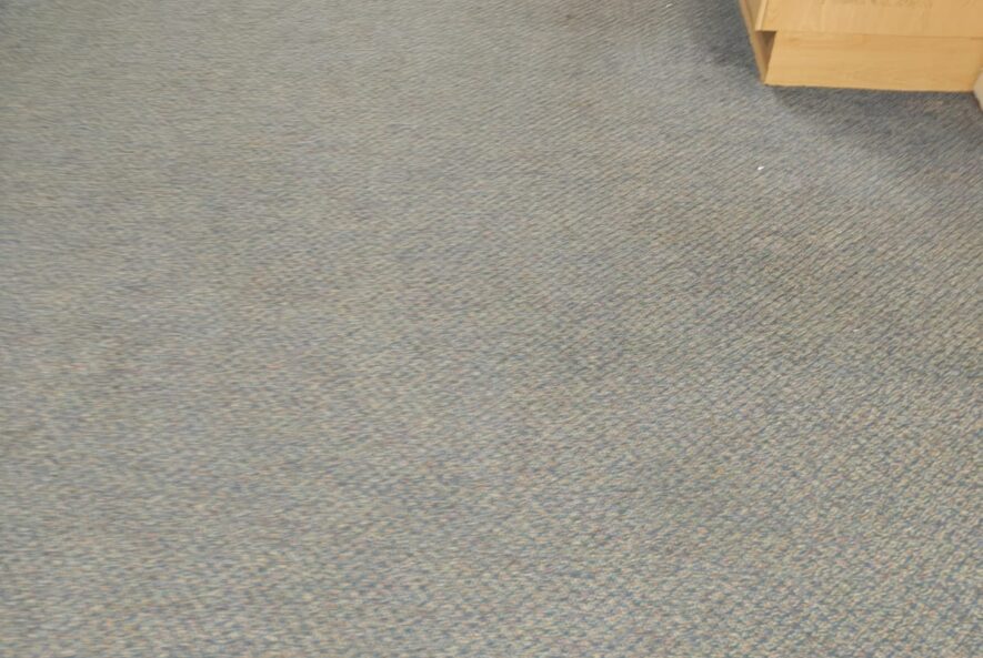 How Often Should You Have Your Carpets Professionally Cleaned?