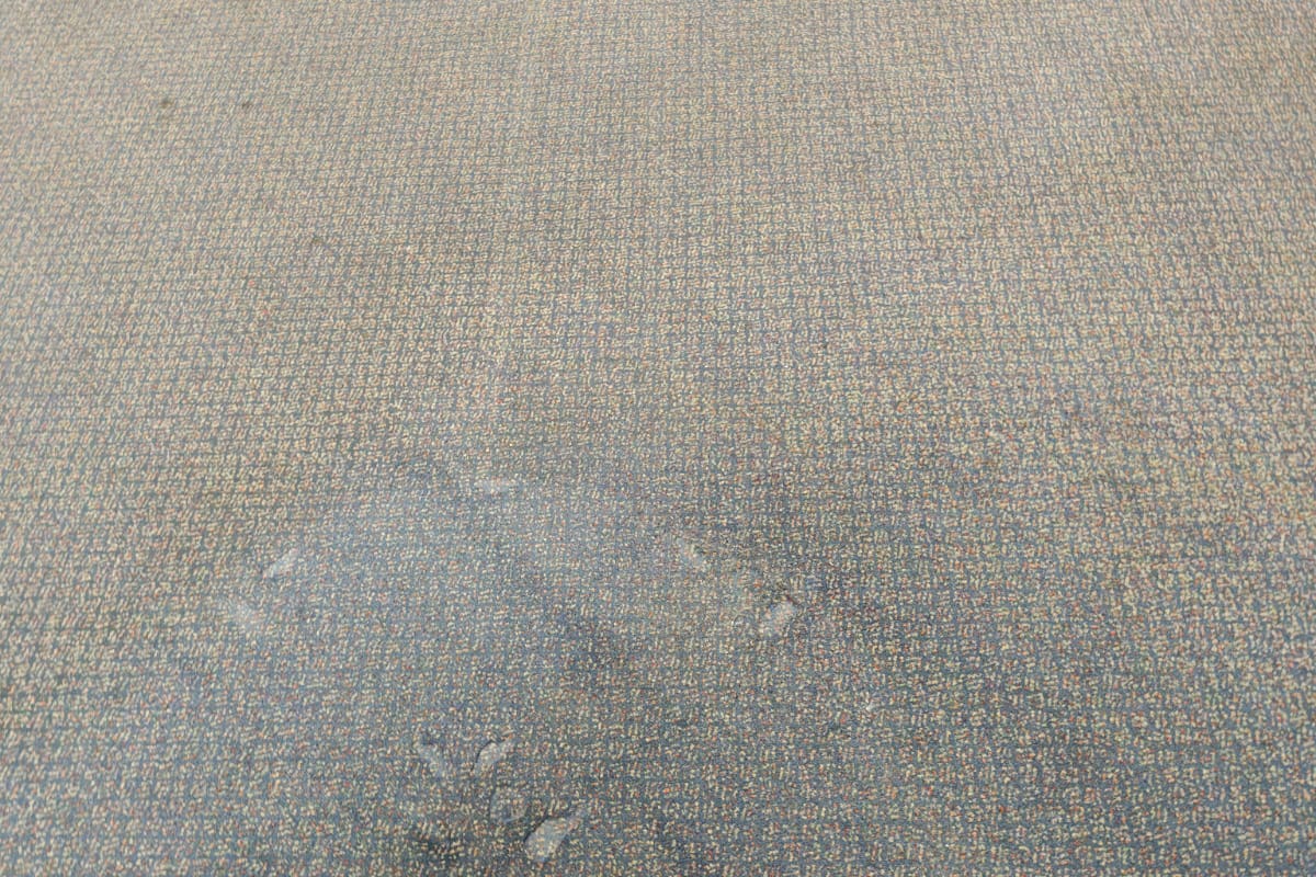school carpet cleaning before