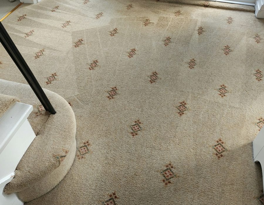 Carpet Cleaning Dewsbury