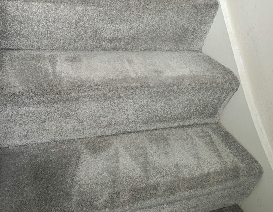 Carpet Cleaning Featherstone