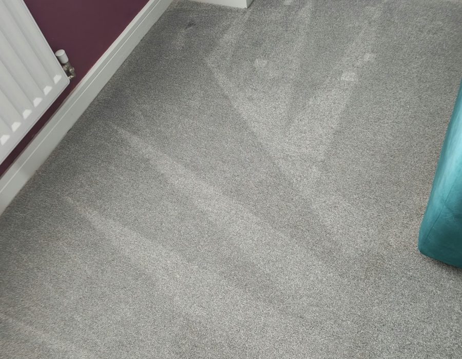 Carpet cleaning in Crofton by ReNew Carpet & Upholstery Cleaning