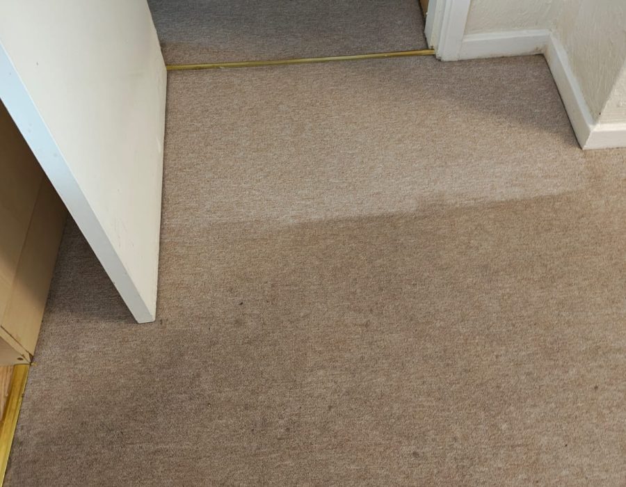airbnb carpet cleaner