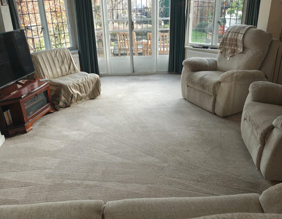 airbnb carpet cleaning